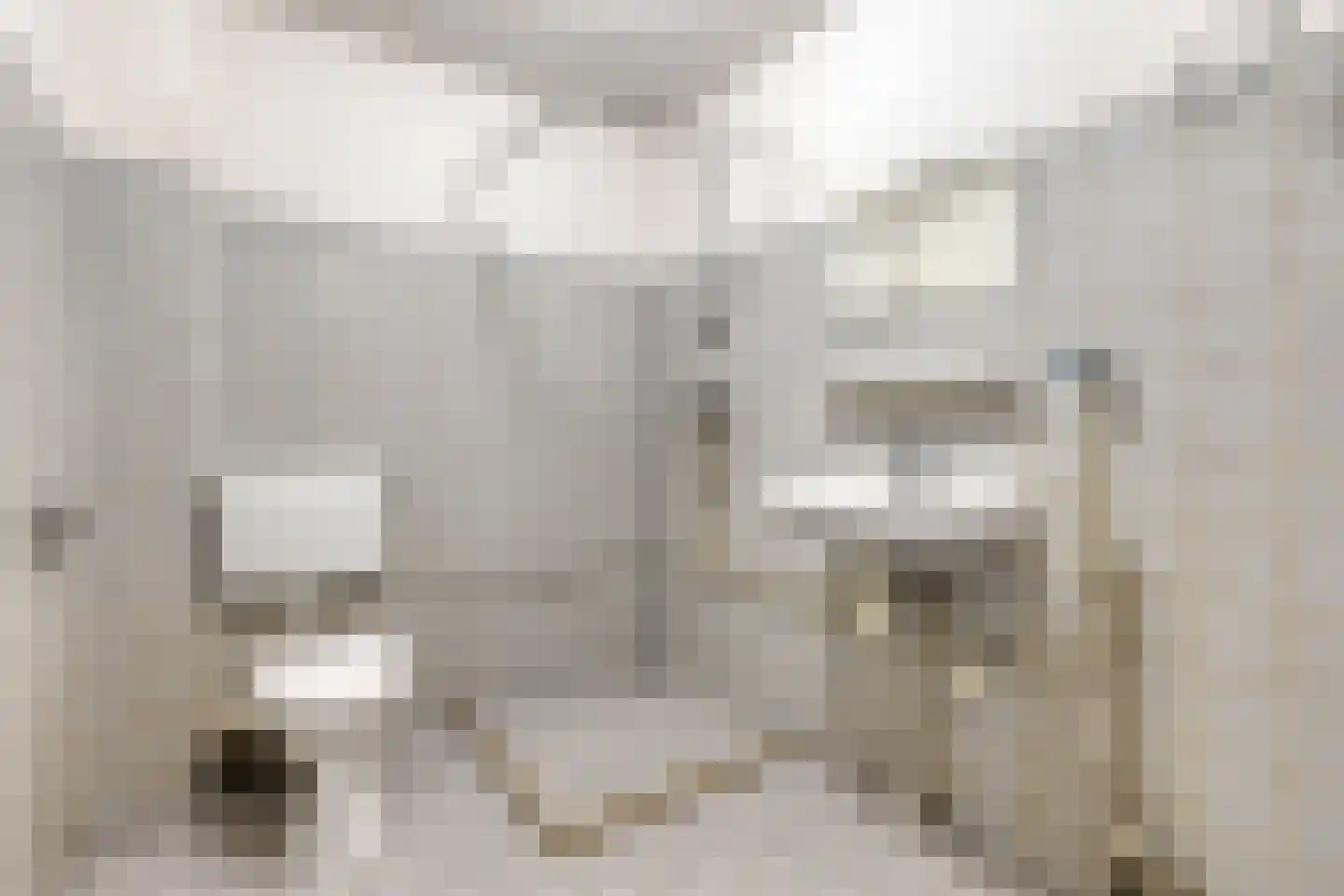 Lagelandstraat 138 's-Hertogenbosch thumbnail 17