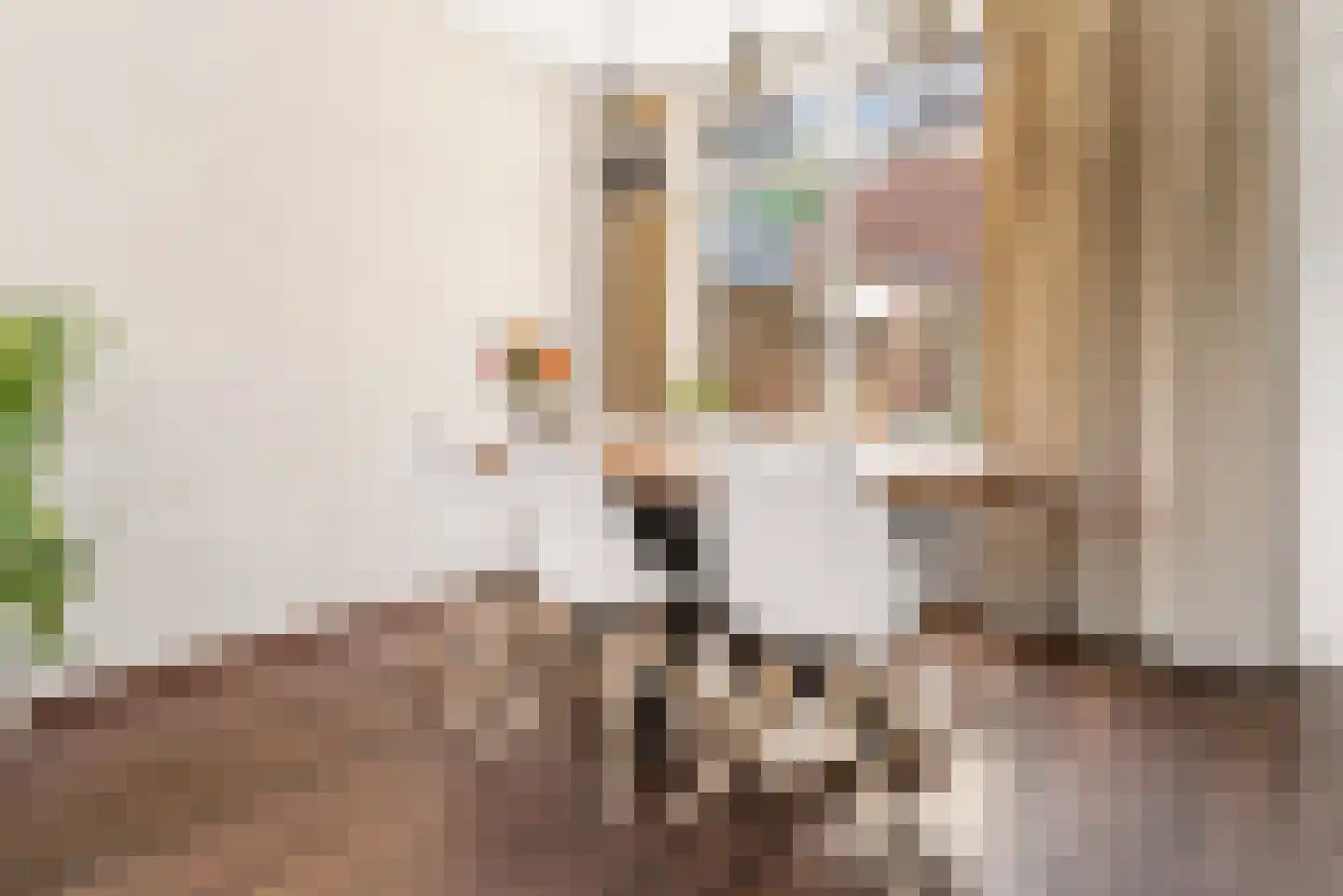 Lagelandstraat 15 's-Hertogenbosch thumbnail 10