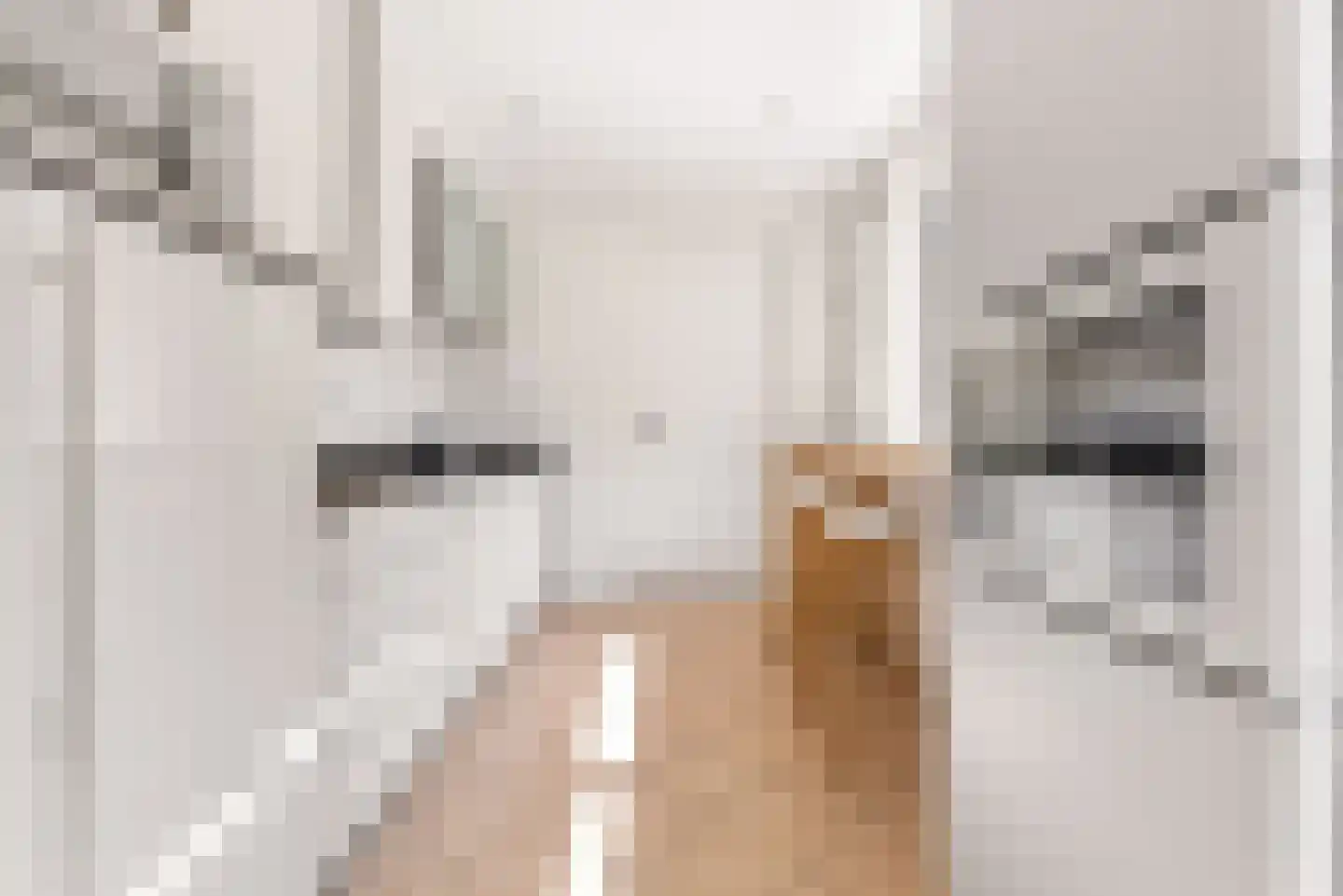 Lagelandstraat 15 's-Hertogenbosch thumbnail 12