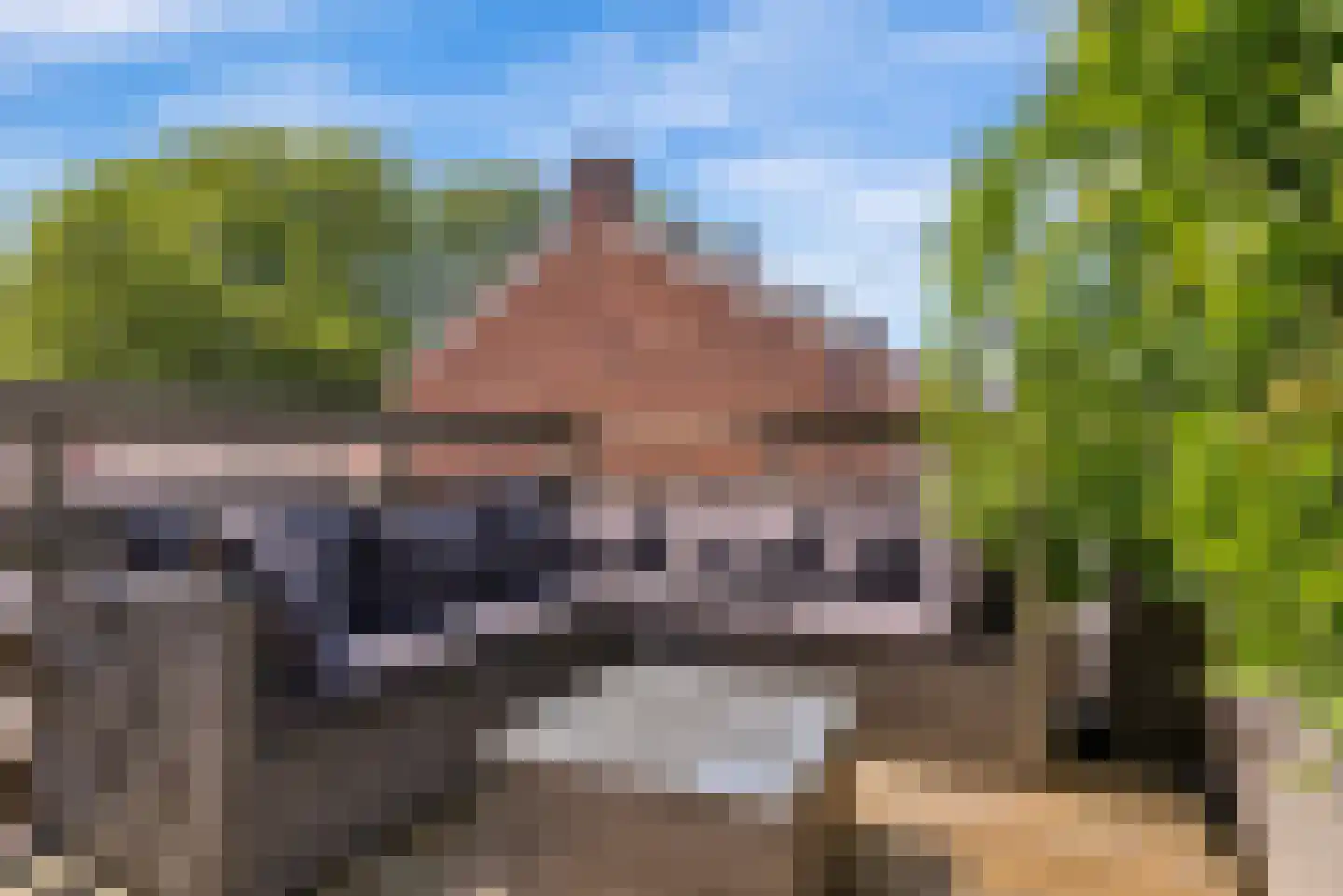 Lagelandstraat 15 's-Hertogenbosch thumbnail 23