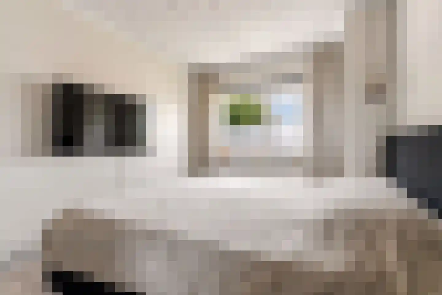 Lagelandstraat 15 's-Hertogenbosch thumbnail 26