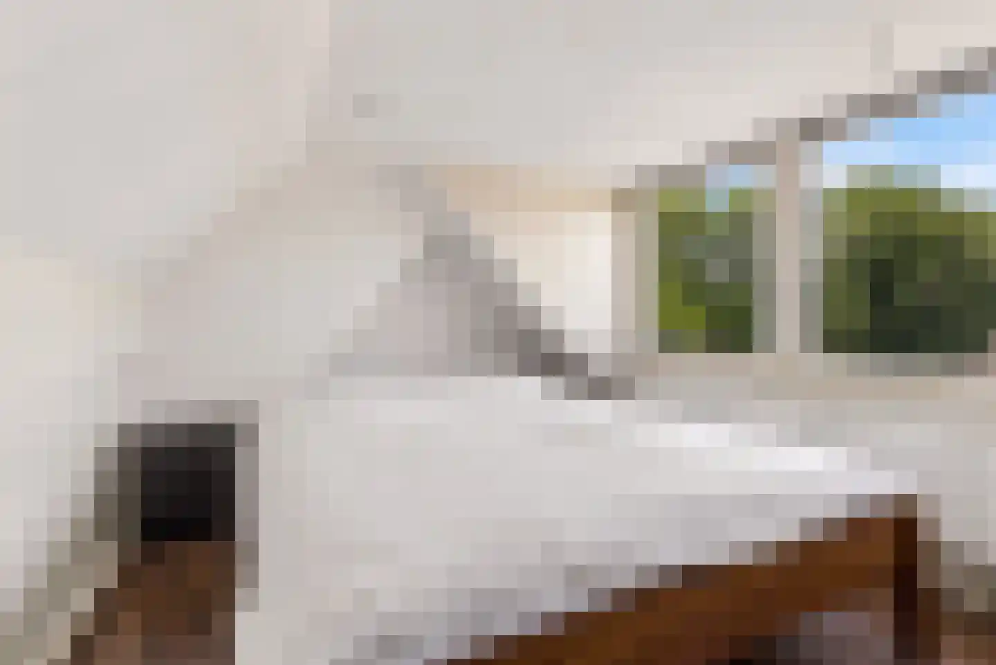 Lagelandstraat 15 's-Hertogenbosch thumbnail 32