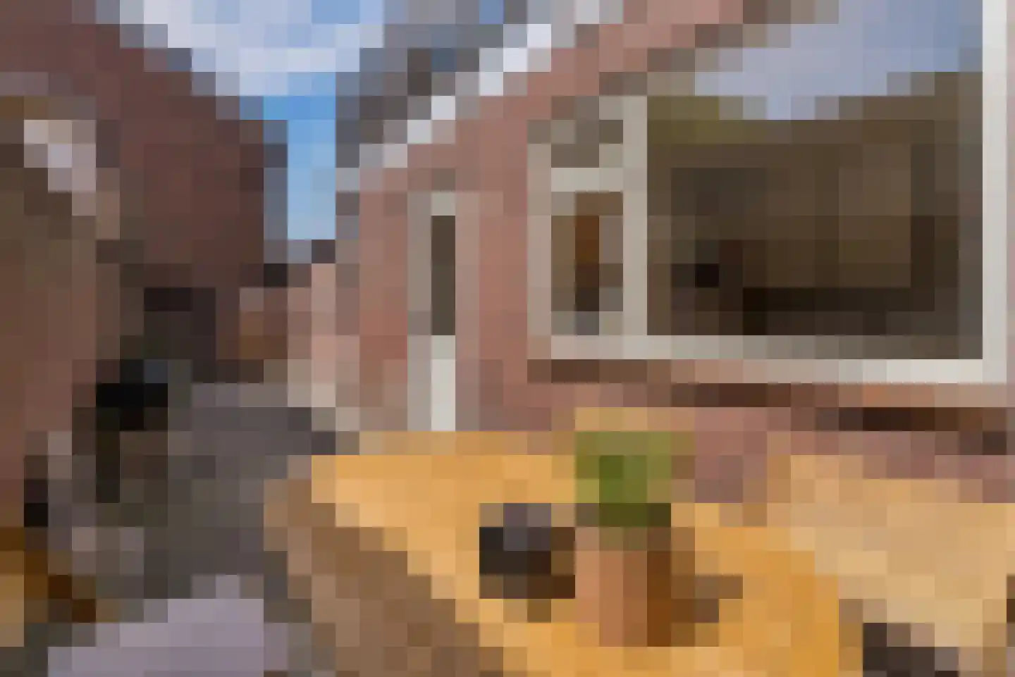Lagelandstraat 15 's-Hertogenbosch thumbnail 35