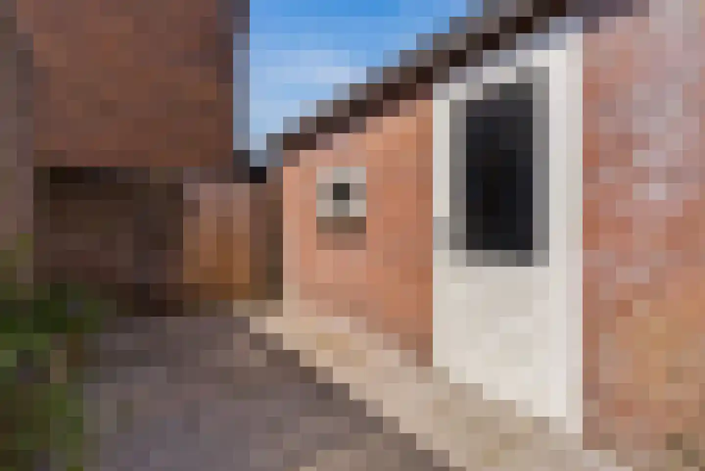 Lagelandstraat 15 's-Hertogenbosch thumbnail 36