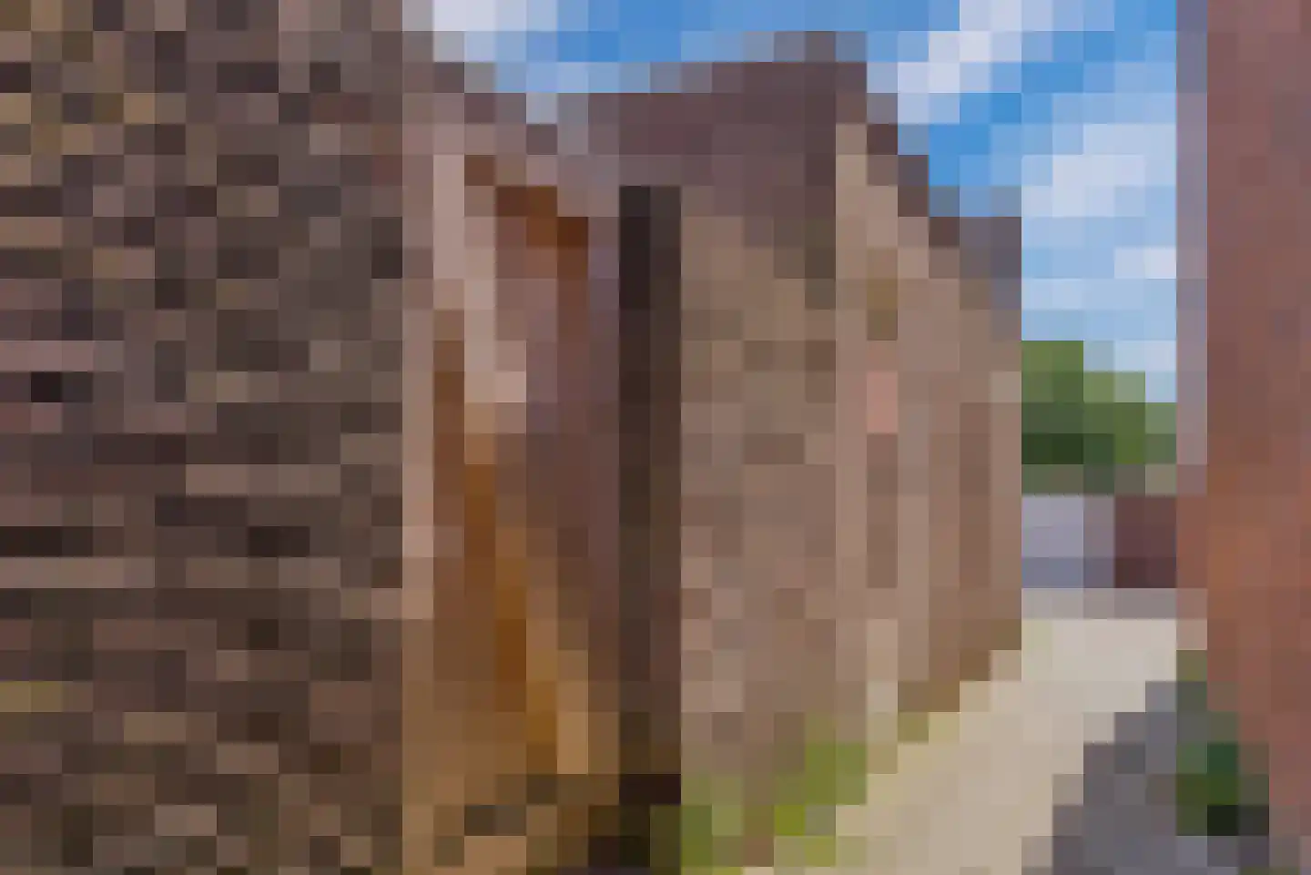 Lagelandstraat 15 's-Hertogenbosch thumbnail 38