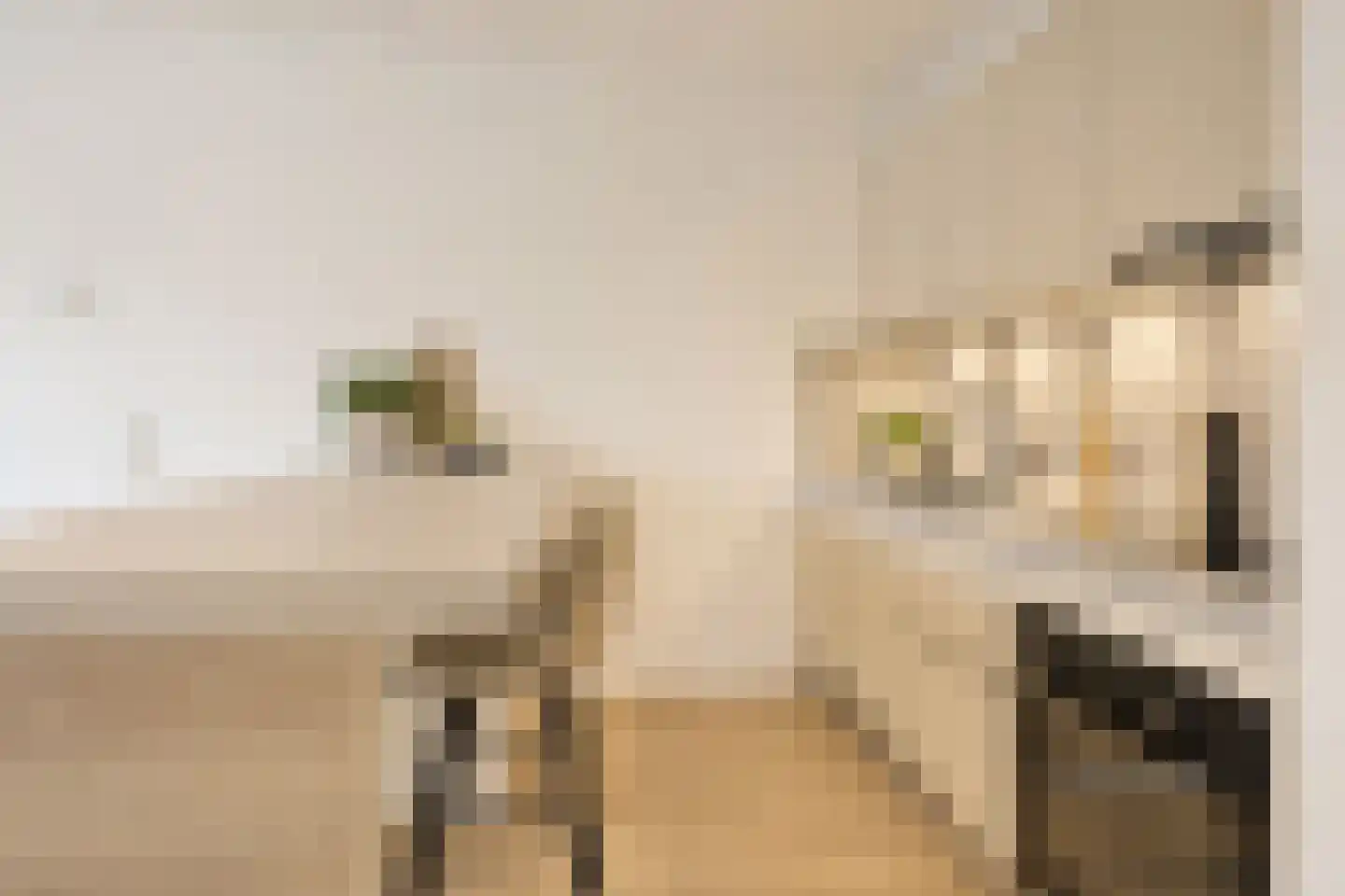 Lagelandstraat 156 's-Hertogenbosch thumbnail 5