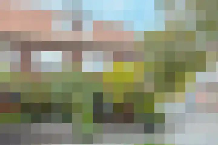 Lagelandstraat 16 's-Hertogenbosch thumbnail 36