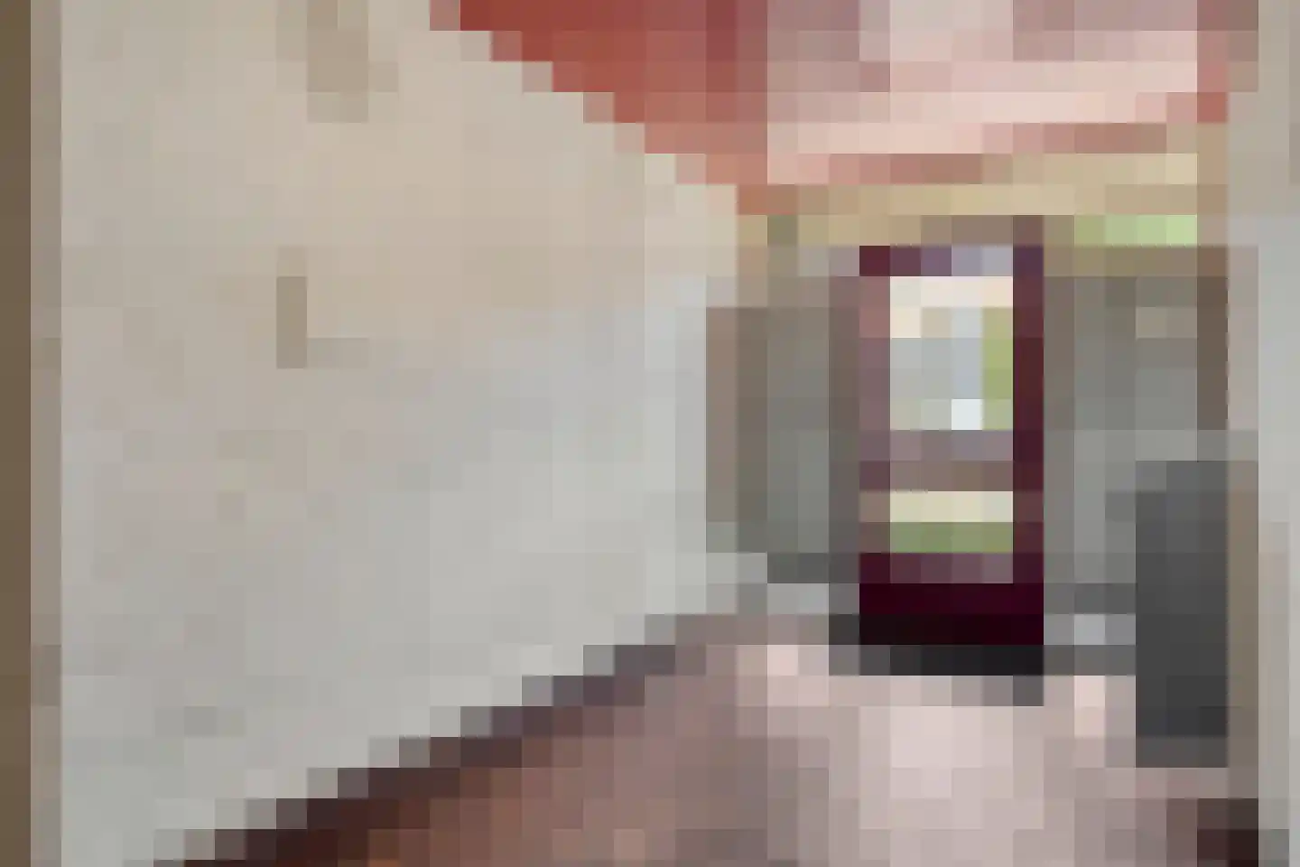 Lagelandstraat 162 's-Hertogenbosch thumbnail 7