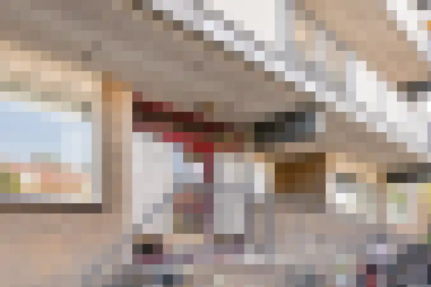 Lagelandstraat 166 's-Hertogenbosch thumbnail 9
