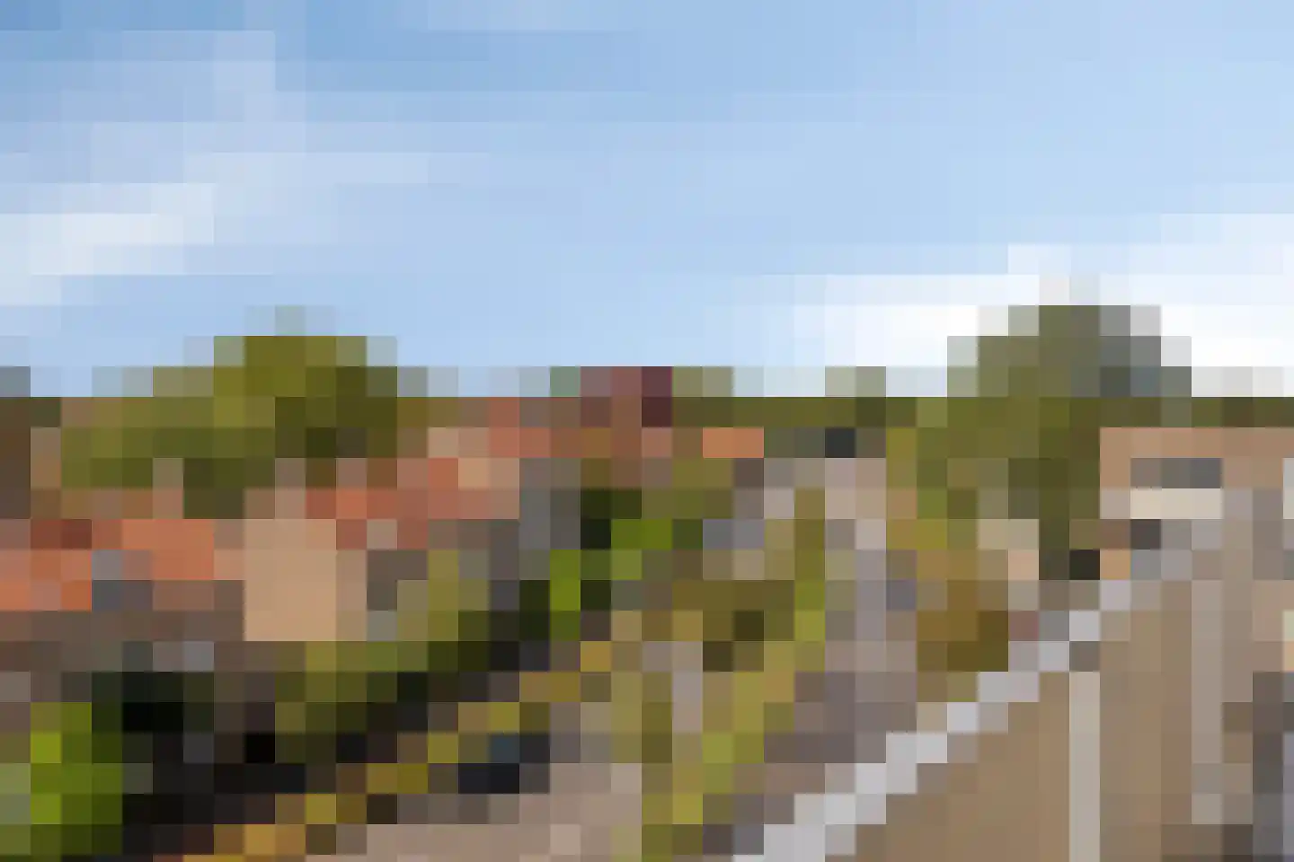 Lagelandstraat 168 's-Hertogenbosch thumbnail 21