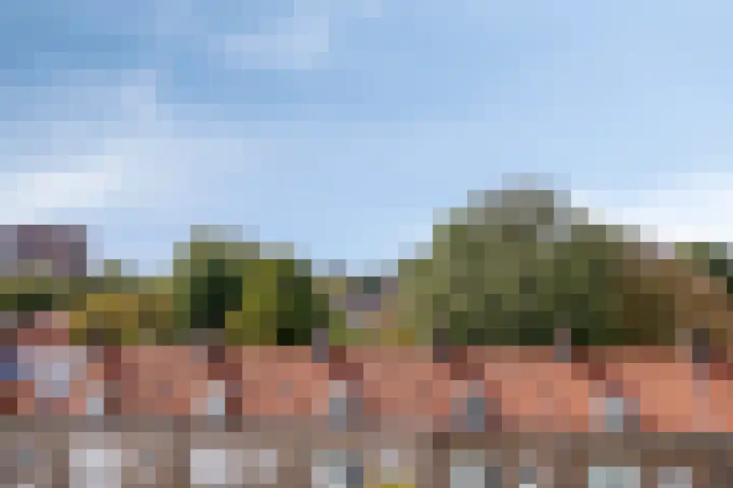 Lagelandstraat 168 's-Hertogenbosch thumbnail 22