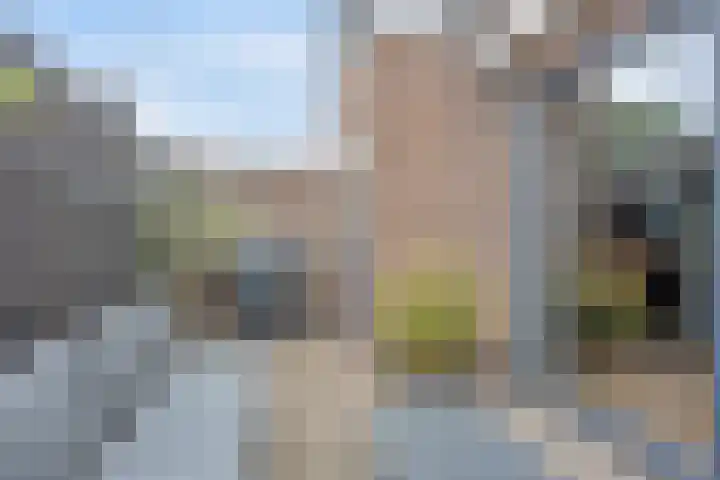 Lagelandstraat 186 's-Hertogenbosch thumbnail 11