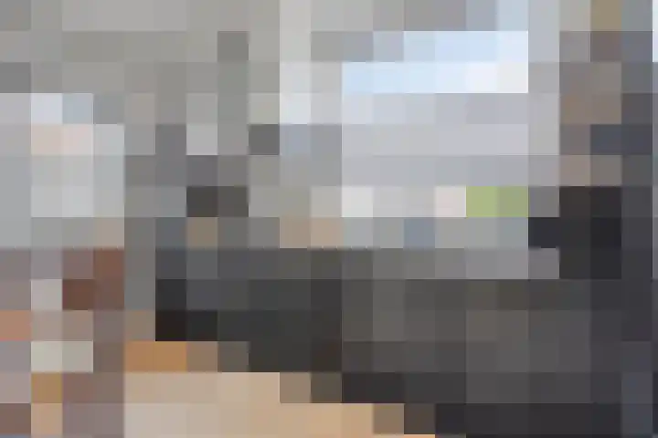 Lagelandstraat 186 's-Hertogenbosch thumbnail 8