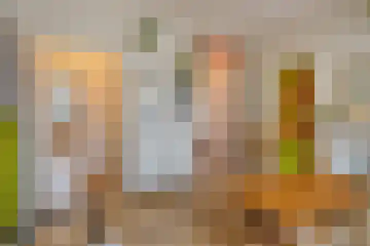 Lagelandstraat 21 's-Hertogenbosch thumbnail 11