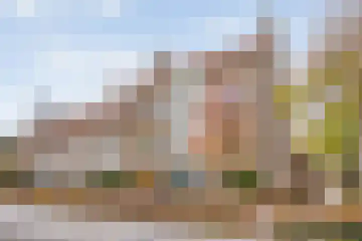 Lagelandstraat 21 's-Hertogenbosch thumbnail 30