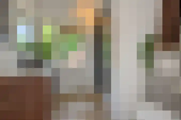 Lagelandstraat 23 's-Hertogenbosch thumbnail 13