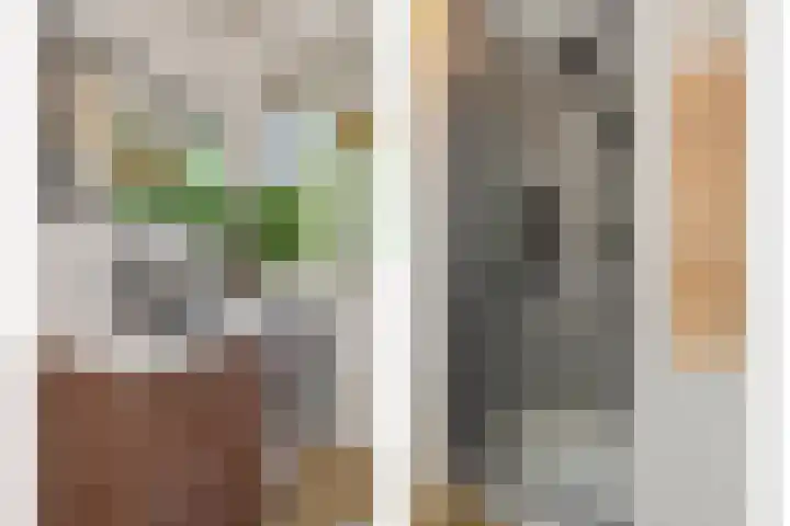 Lagelandstraat 23 's-Hertogenbosch thumbnail 14