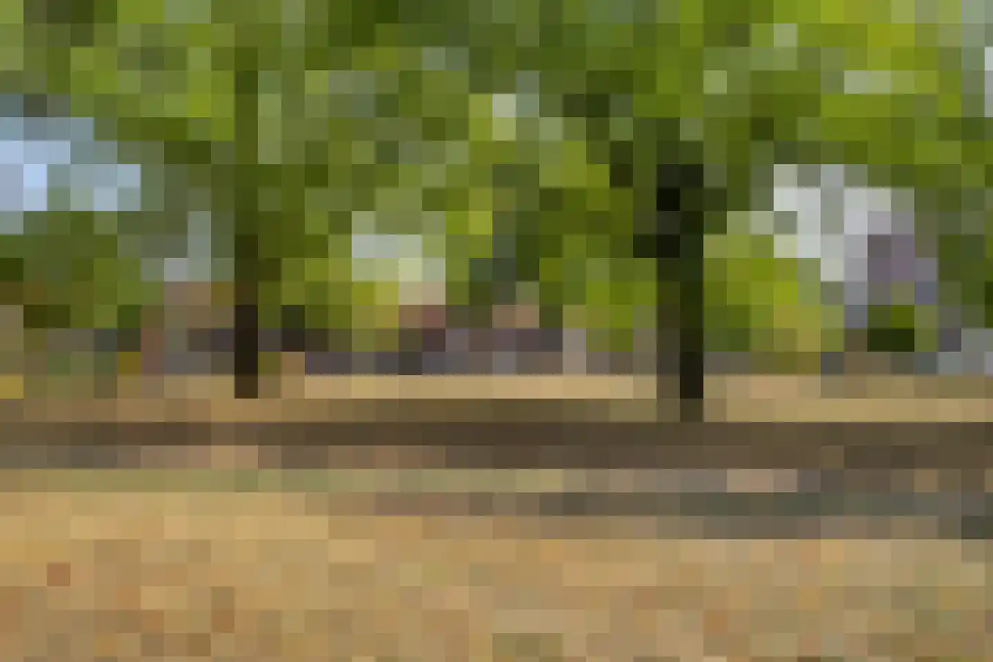 Lagelandstraat 25 's-Hertogenbosch thumbnail 20