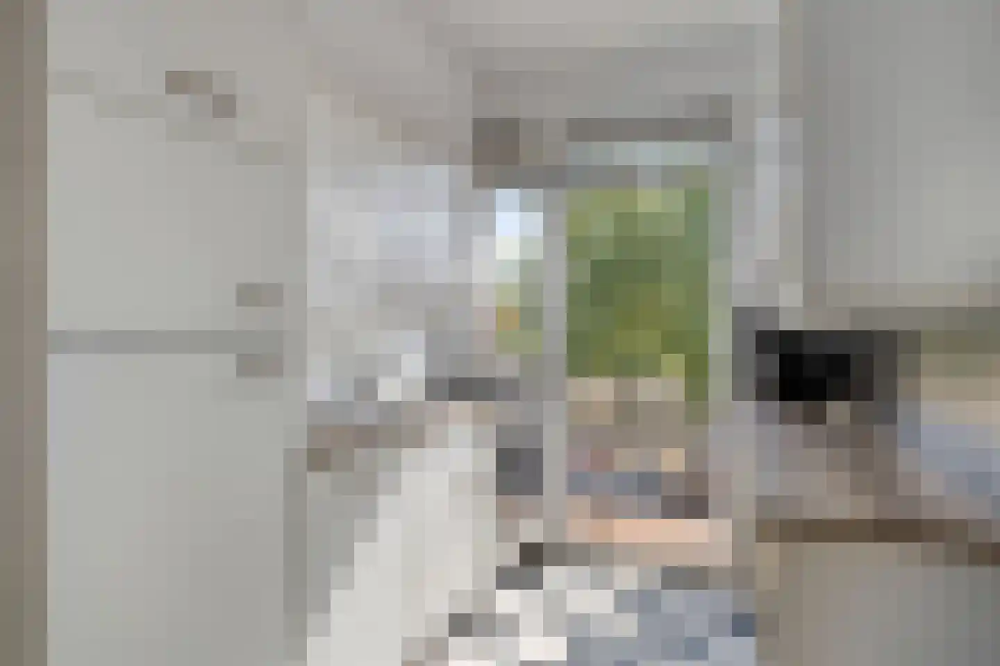 Lagelandstraat 25 's-Hertogenbosch thumbnail 6