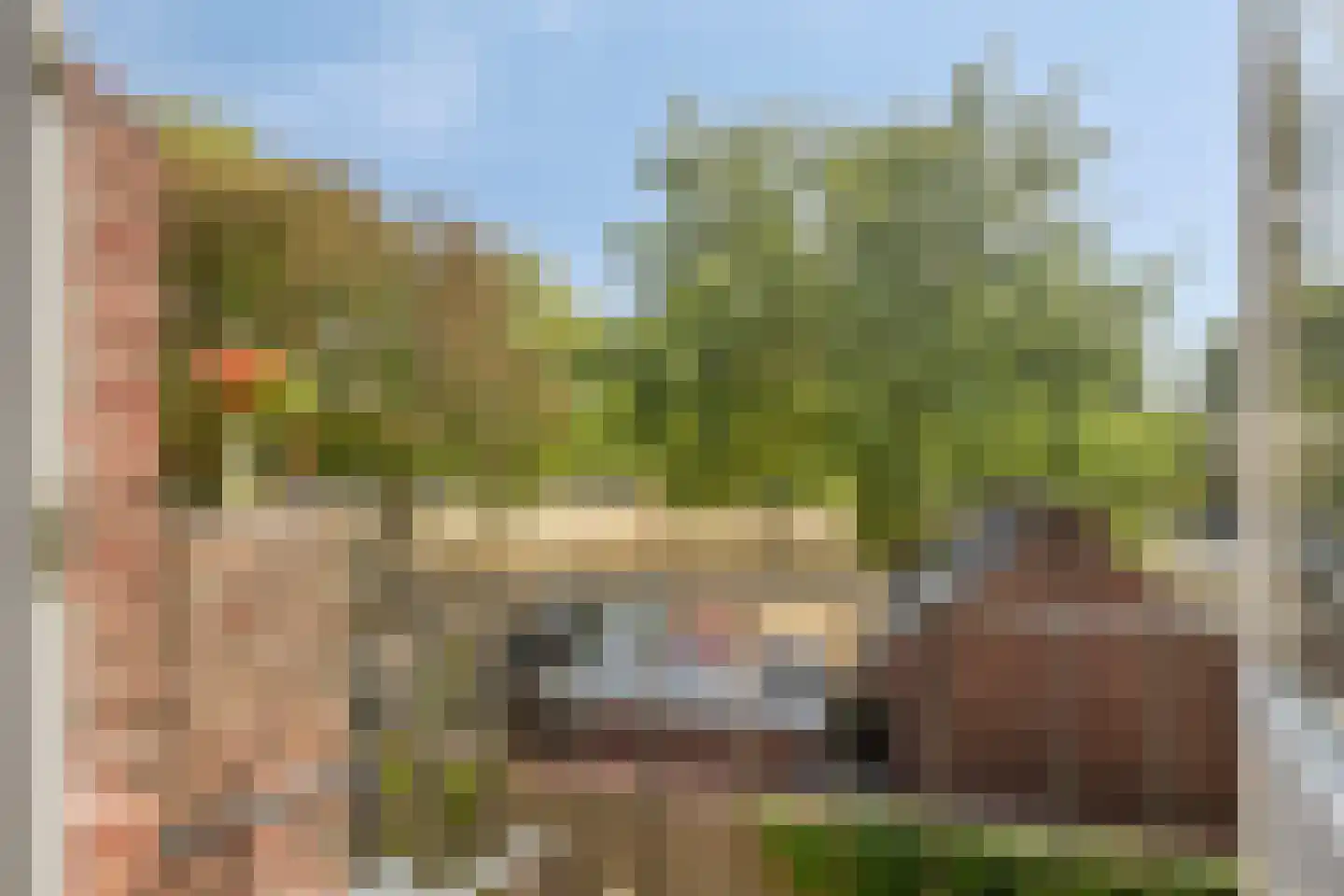Lagelandstraat 25 's-Hertogenbosch thumbnail 7