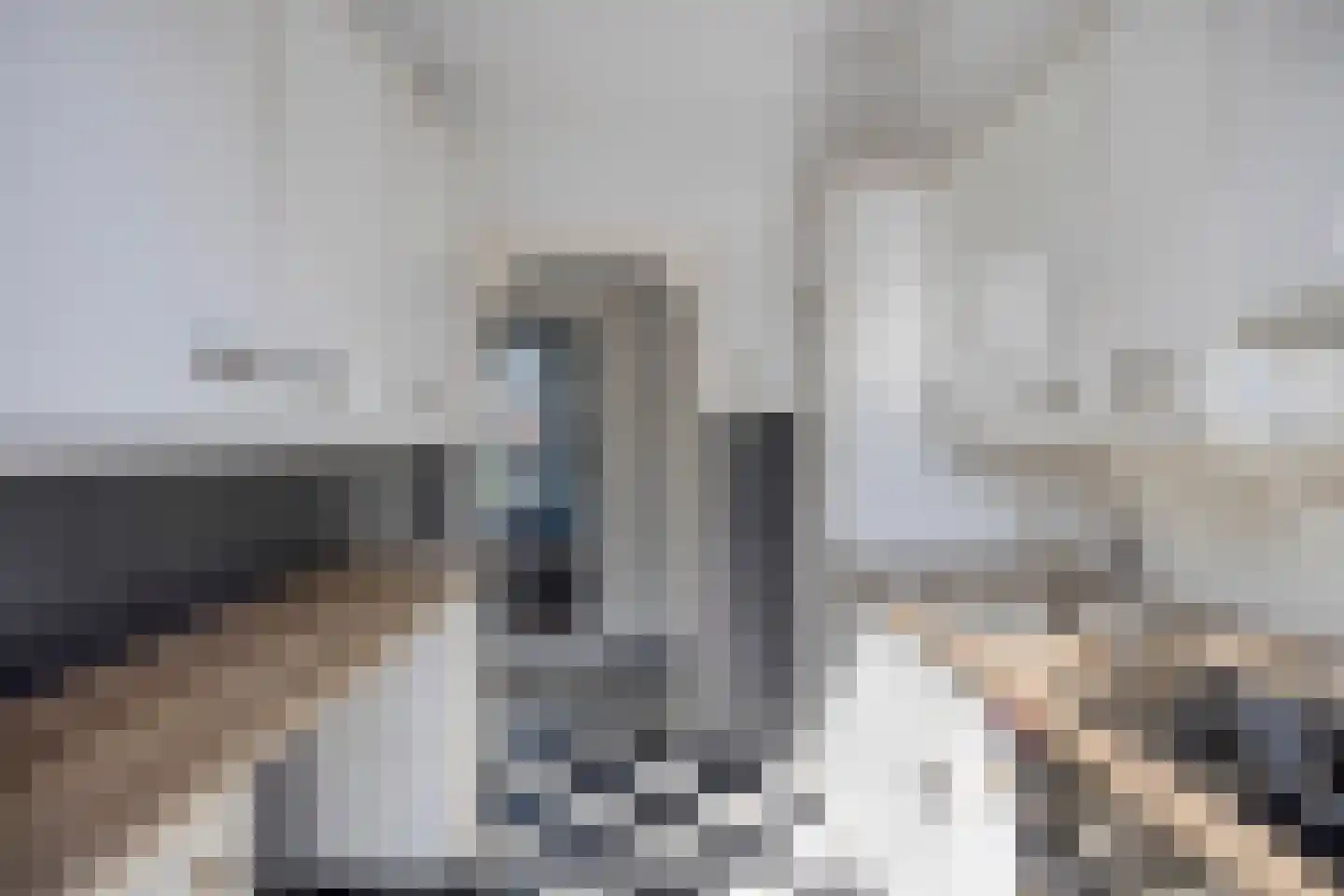 Lagelandstraat 25 's-Hertogenbosch thumbnail 8
