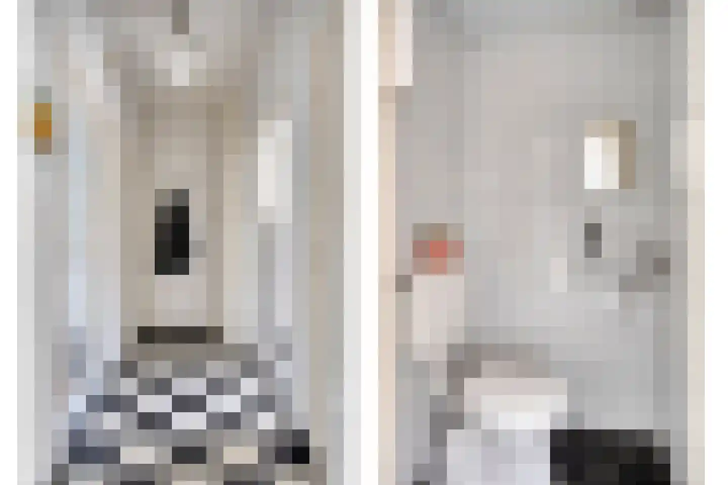 Lagelandstraat 25 's-Hertogenbosch thumbnail 9
