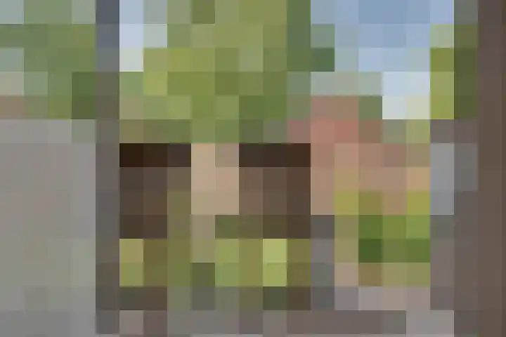 Lagelandstraat 29 's-Hertogenbosch thumbnail 20