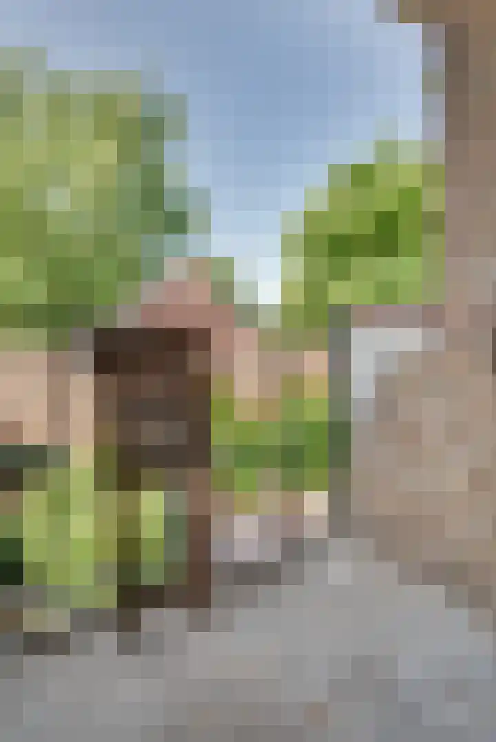 Lagelandstraat 29 's-Hertogenbosch thumbnail 21