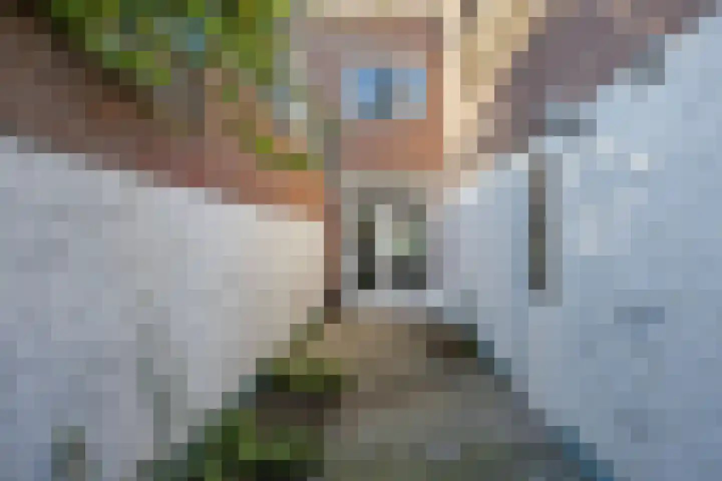 Lagelandstraat 6 's-Hertogenbosch thumbnail 18