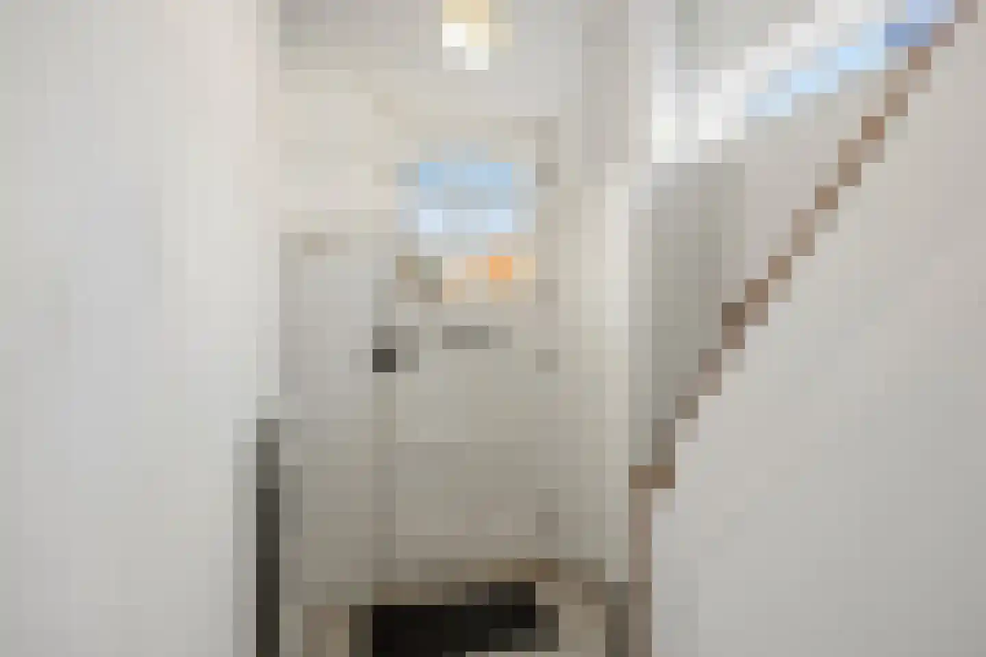 Lagelandstraat 6 's-Hertogenbosch thumbnail 7