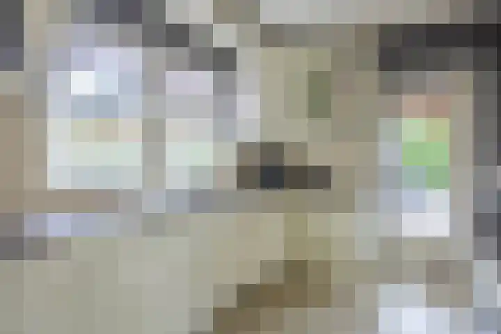 Lagemaat 16 Den Ham thumbnail 19