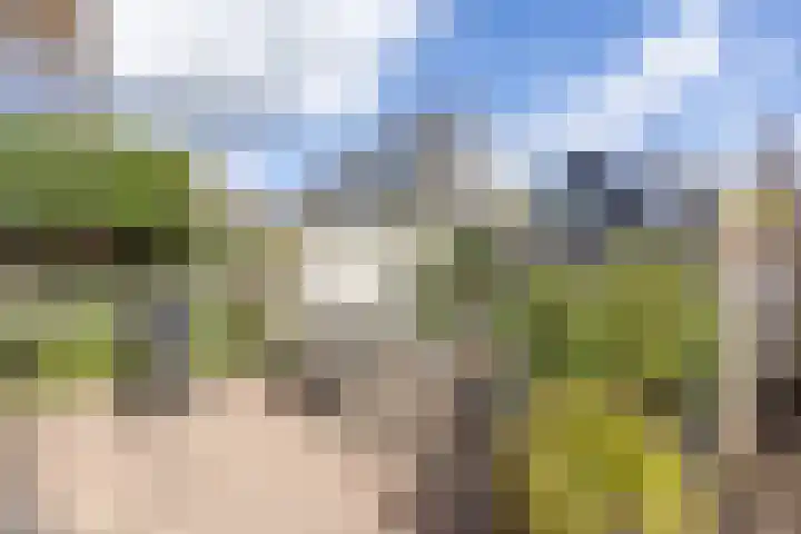 Lagemaat 16 Den Ham thumbnail 47