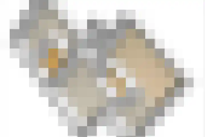 Lagemaat 16 Den Ham thumbnail 51