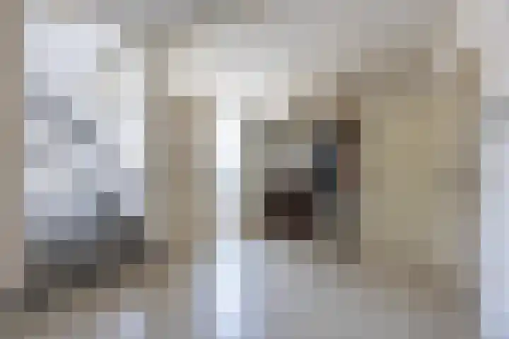Lagemaat 16 Den Ham thumbnail 6