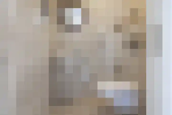 Lagemaat 16 Den Ham thumbnail 8