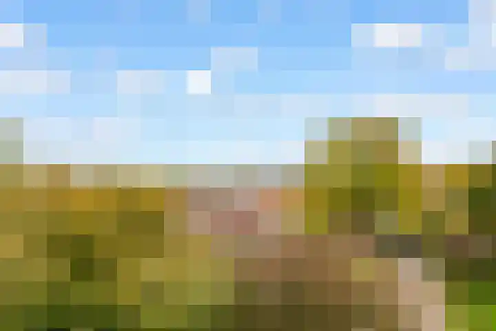 Lagemorgenlaan 122 's-Hertogenbosch thumbnail 17
