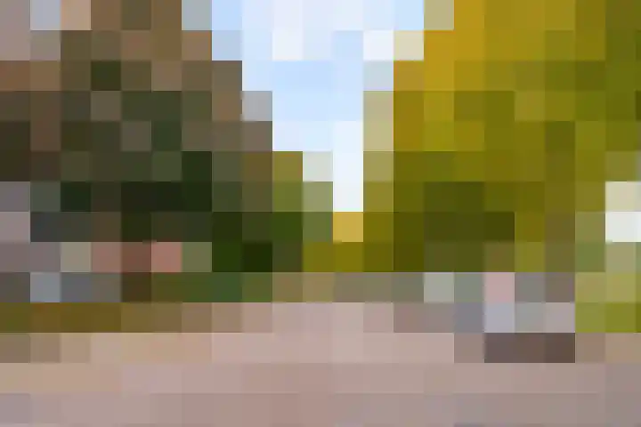 Lagemorgenlaan 122 's-Hertogenbosch thumbnail 31