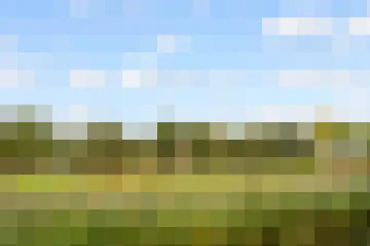 Lagemorgenlaan 122 's-Hertogenbosch thumbnail 32