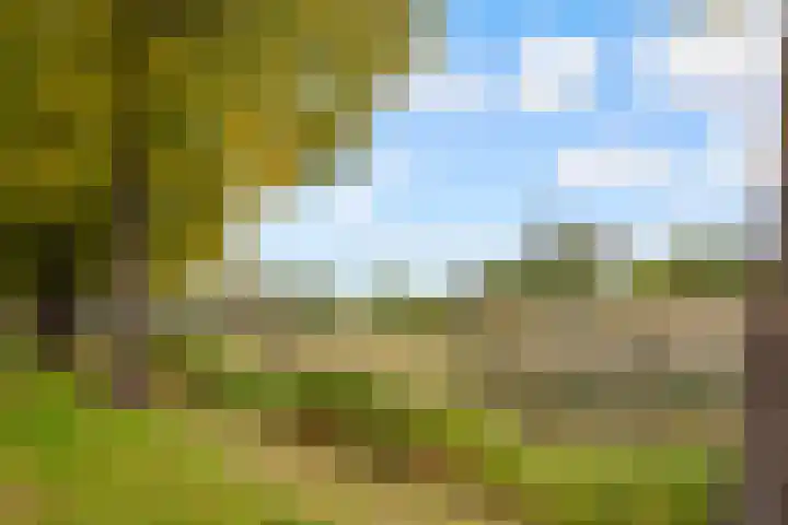 Lagemorgenlaan 122 's-Hertogenbosch thumbnail 33