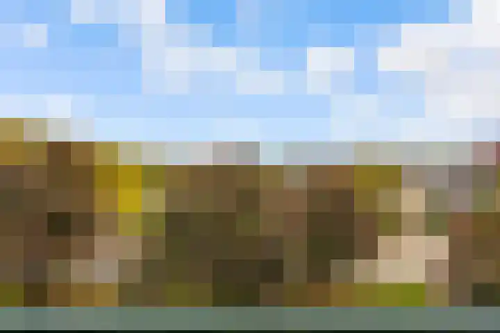 Lagemorgenlaan 122 's-Hertogenbosch thumbnail 4