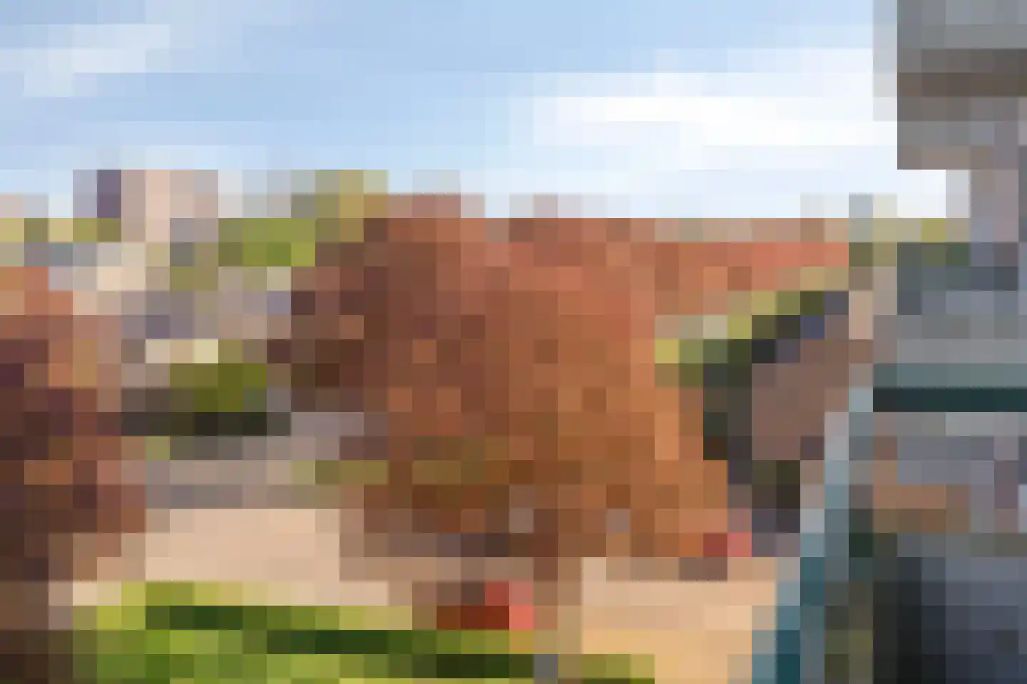 Lagemorgenlaan 138 's-Hertogenbosch thumbnail 12