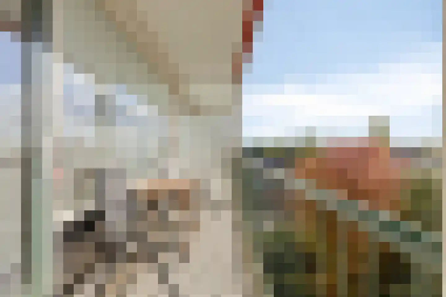 Lagemorgenlaan 138 's-Hertogenbosch thumbnail 15