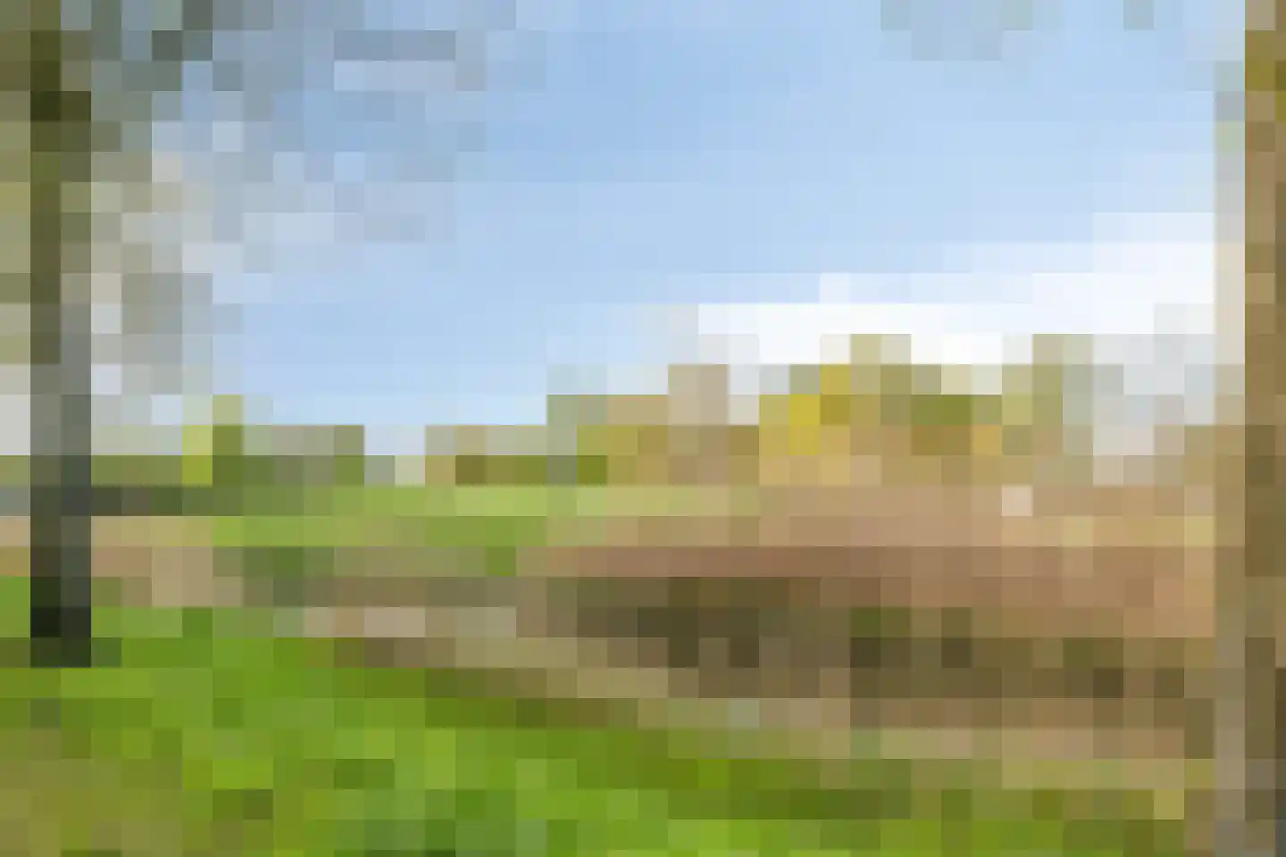 Lagemorgenlaan 138 's-Hertogenbosch thumbnail 21