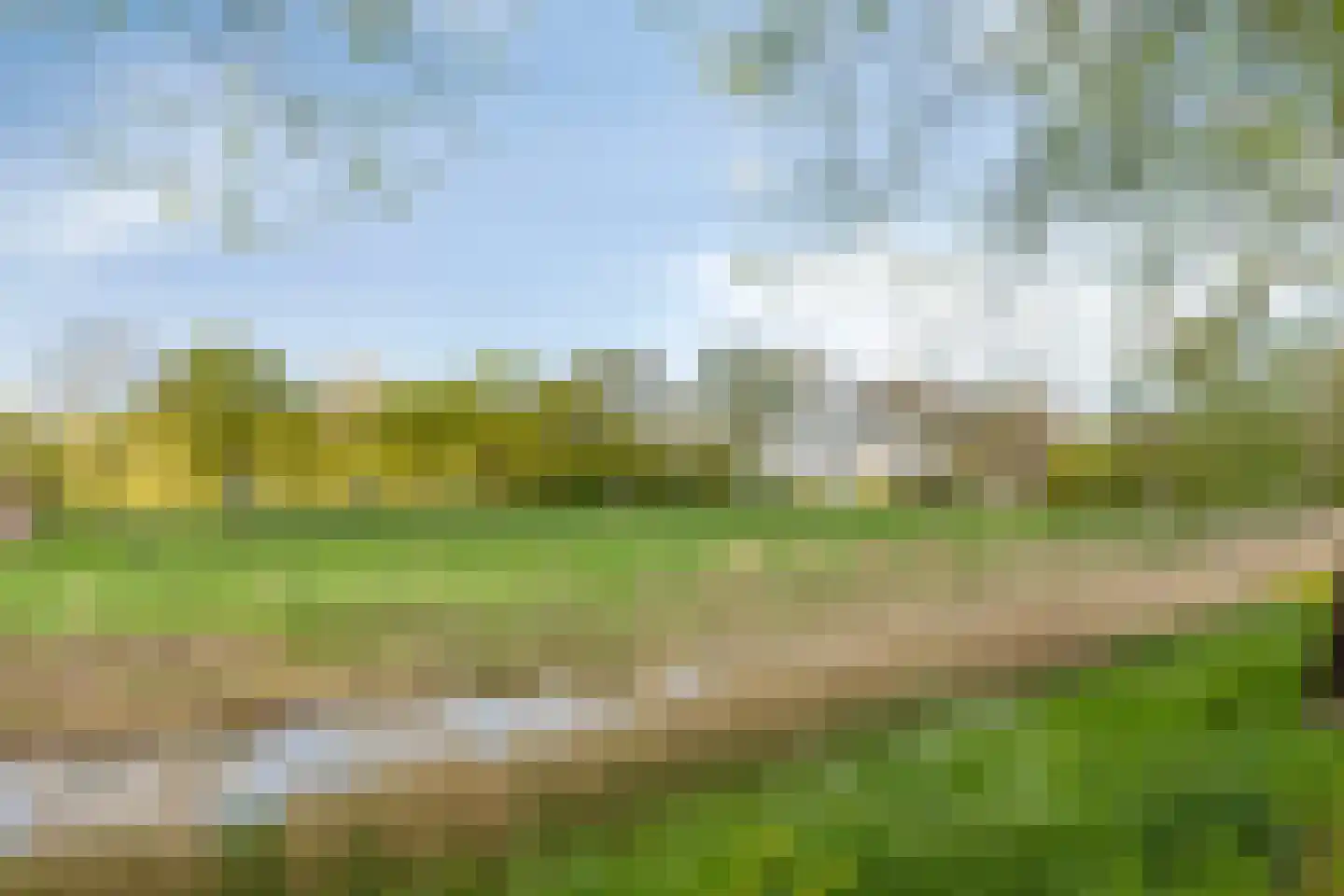 Lagemorgenlaan 138 's-Hertogenbosch thumbnail 22