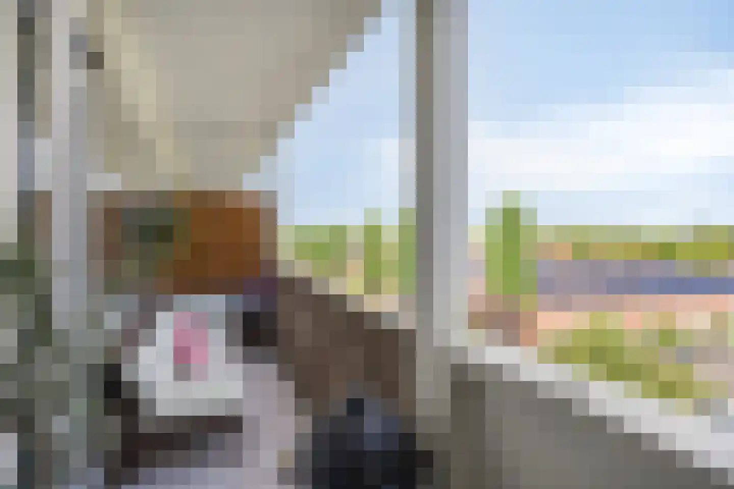 Lagemorgenlaan 140 's-Hertogenbosch thumbnail 10