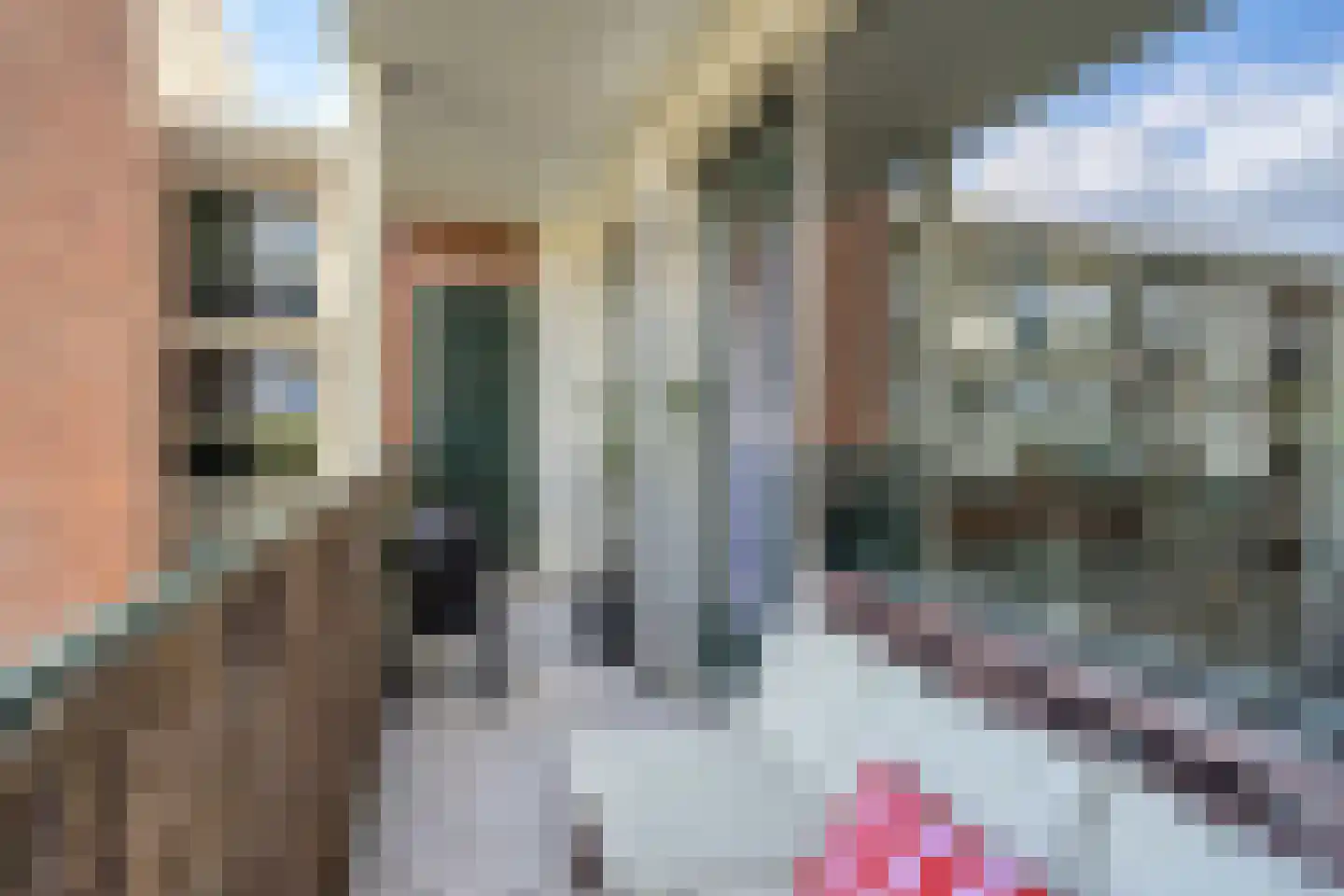 Lagemorgenlaan 140 's-Hertogenbosch thumbnail 11