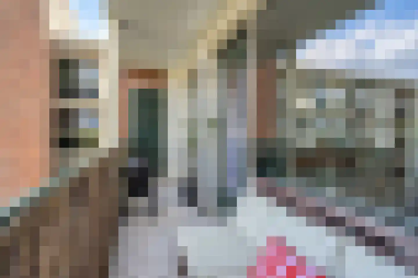 Lagemorgenlaan 140 's-Hertogenbosch thumbnail 12