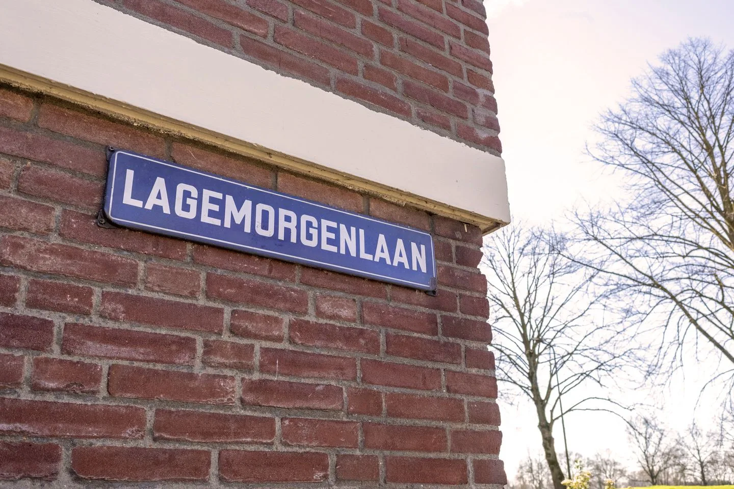 Lagemorgenlaan 172 's-Hertogenbosch foto 2