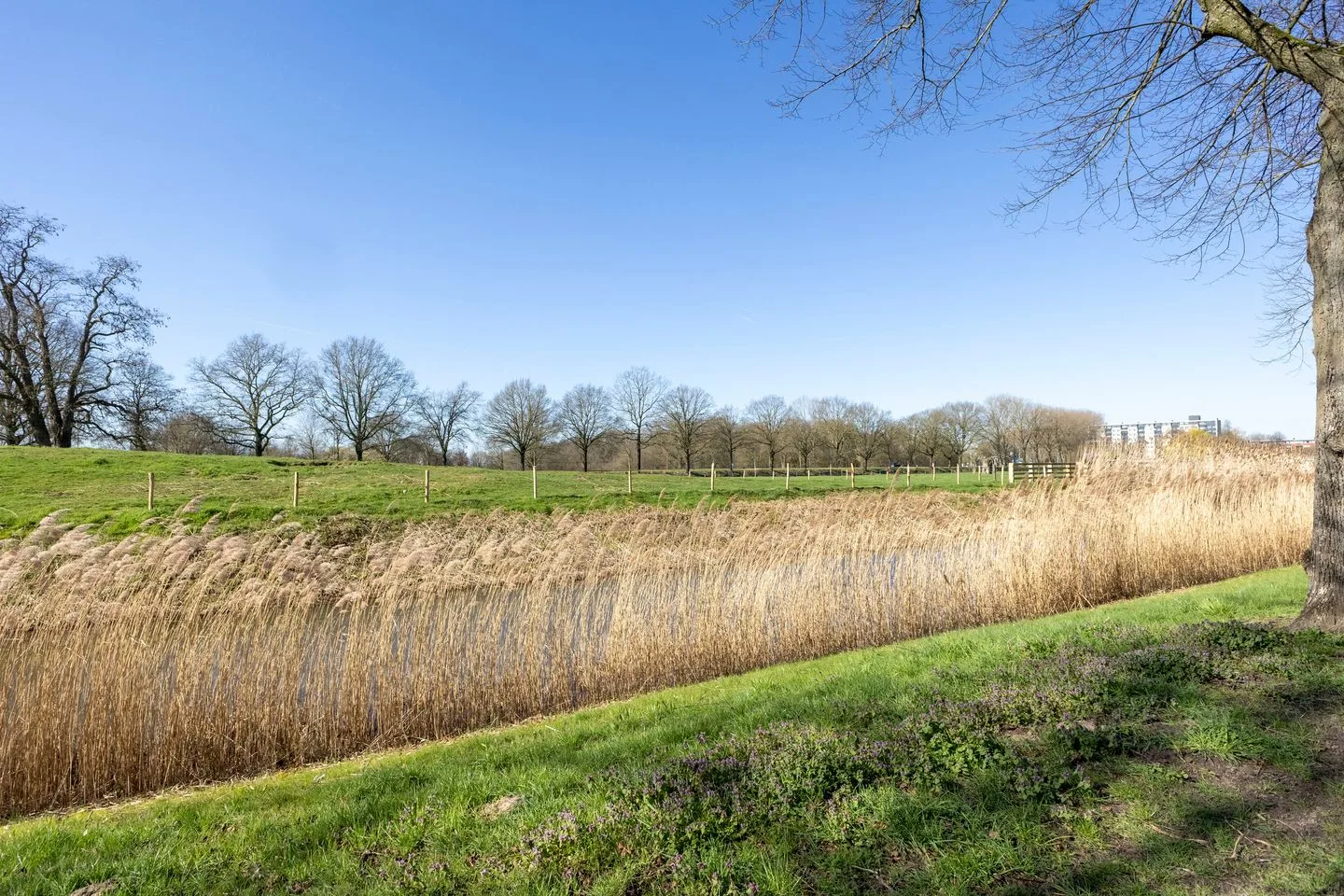 Lagemorgenlaan 172 's-Hertogenbosch thumbnail 31