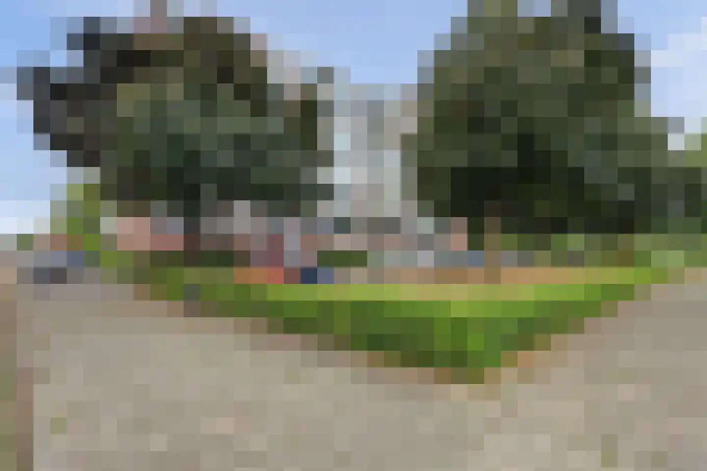 Lagemorgenlaan 174 's-Hertogenbosch thumbnail 24